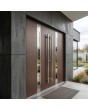 LIM C1 dubbel - moderne aluminium dubbele scharnierende voordeur met glas