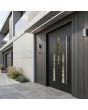 Black modern aluminum front door with glass