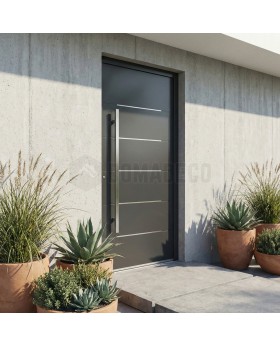 Moderne aluminium voordeur in antraciet