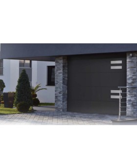 WIS E1D2 - sectionale garagedeur met zilveren sierelement